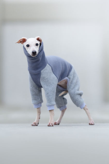 Blue and grey fleece jumpsuit PUPPY - GreyIggy image 3