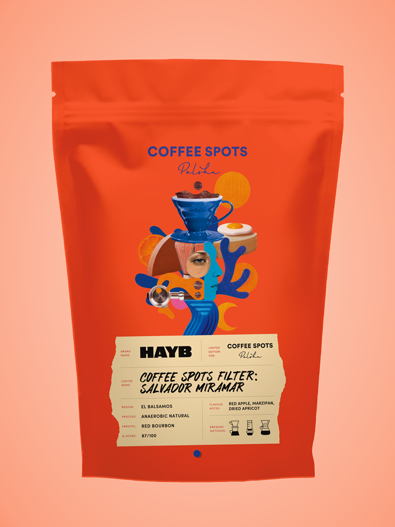 Zestaw: Przewodnik + Kawa Coffee Spots Filter: Salvador Miramar zdjęcie 2