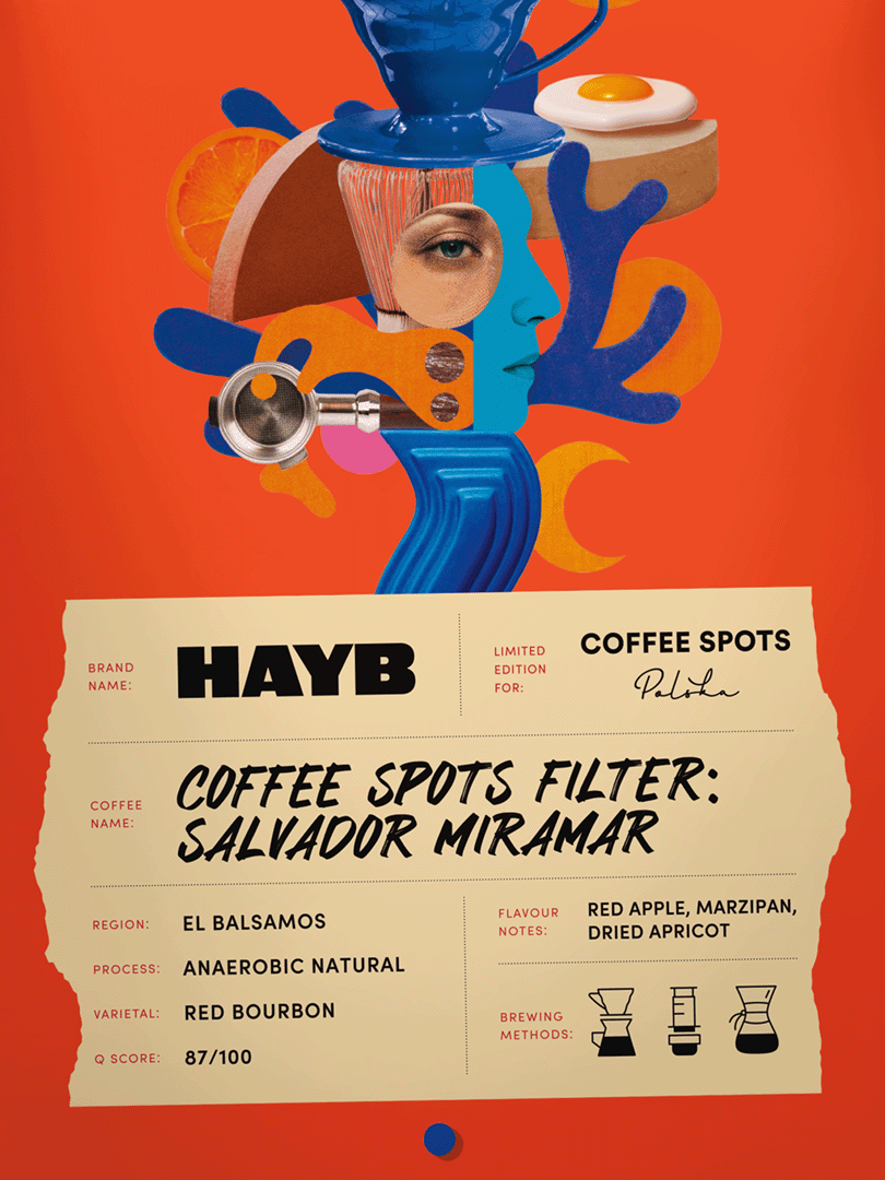 Kawa Coffee Spots Filter: Salvador Miramar - HAYB zdjęcie 3