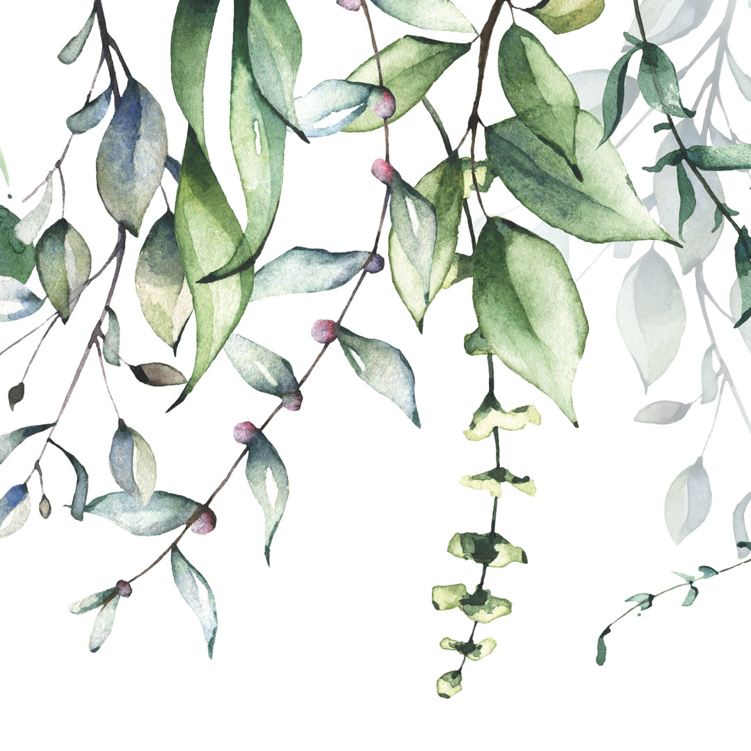 Dekoratívna biela tapeta s akvarelovým vzorom - visiace zelené vetvy s listami - Dekoori obrázok 3