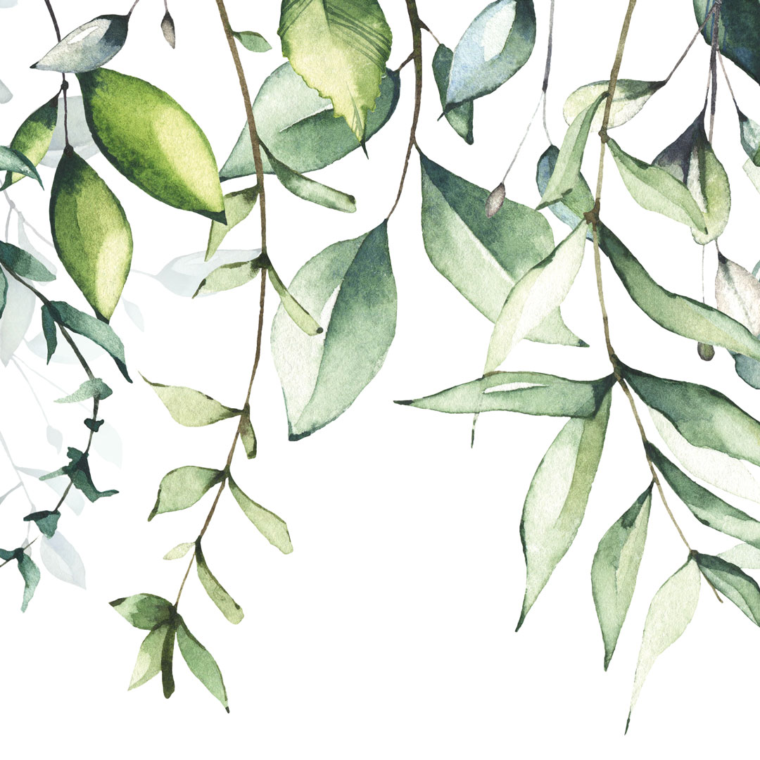 Dekorativní bílá tapeta s akvarelovým vzorem - visící zelené větve s listy - Dekoori obrázek 4