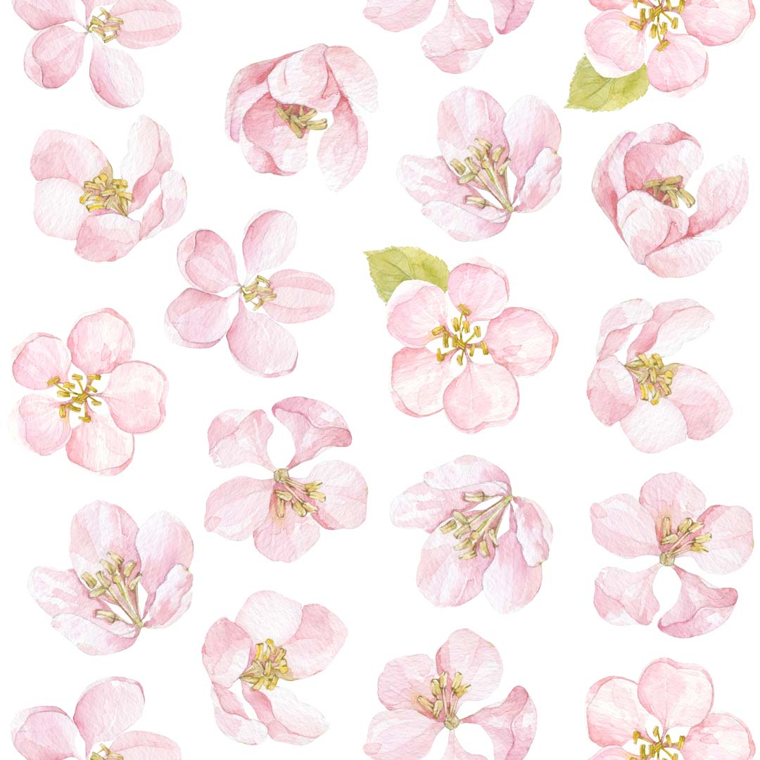 Tapeta s velkými květy jabloně: světlé, pastelové jarní barvy