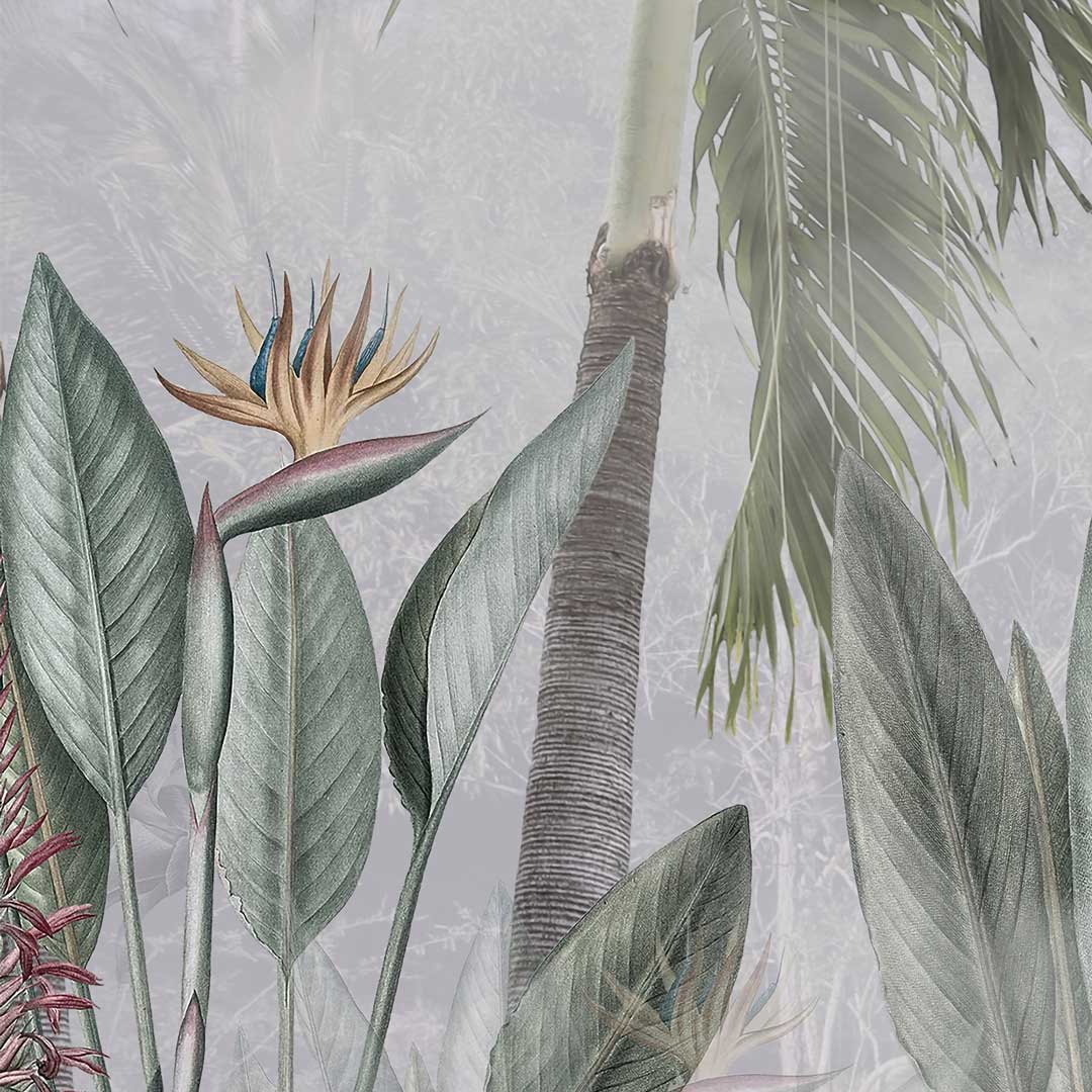 Tapeta liście bananowca - motyw roślinny, botaniczny, boho