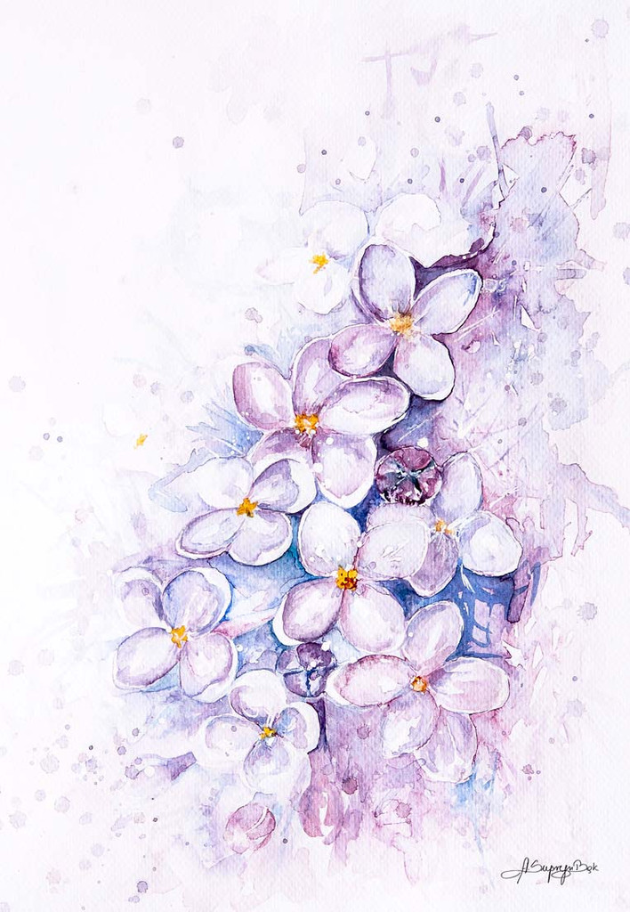 Plakat roślinny akwarela KWIAT BZU biało-fioletowo-różowy przyrodniczy - Na Skrzydłach Anioła zdjęcie 2