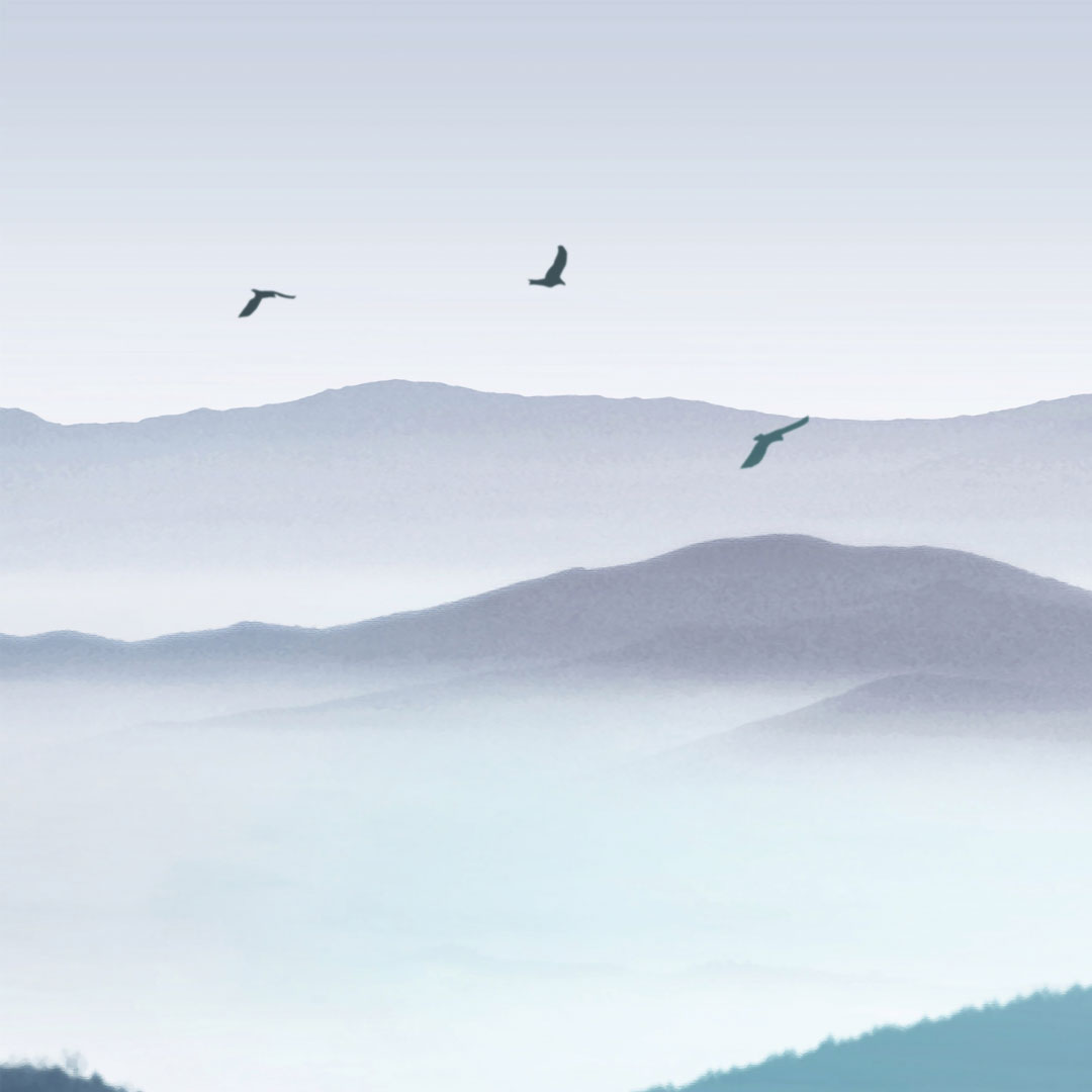Modro-šedá tapeta, jazero v hmle, hory, lode, vtáky, les, bledé slnko - Dekoori obrázok 3
