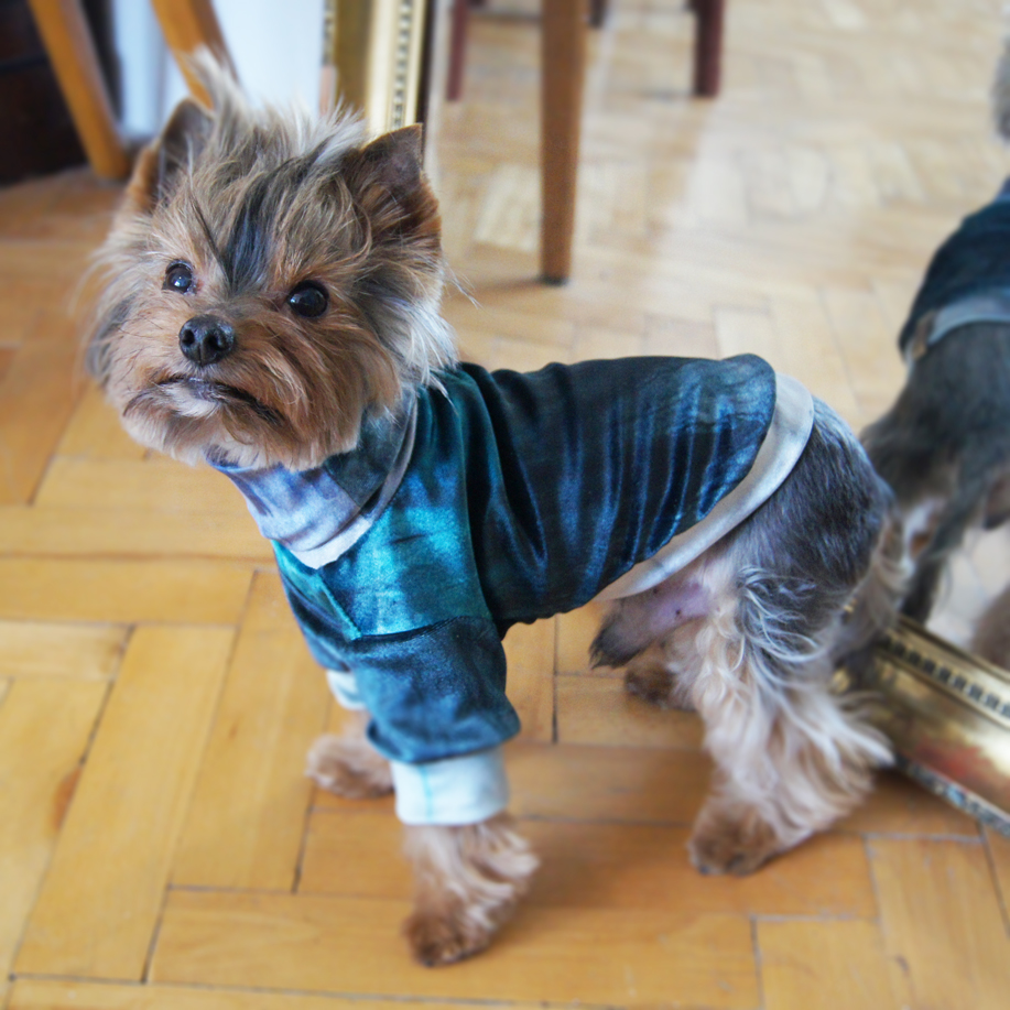 SAMPLE SALE - Bluza dla psa - M - | Happy Green zdjęcie 4