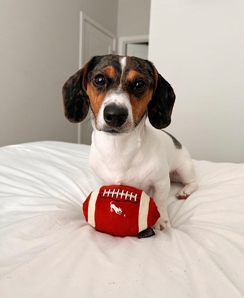 FIDO'S FOOTBALL TOY image 2