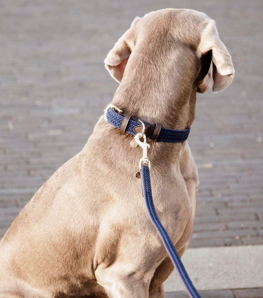 PLAITED NYLON DOG LEASH NAVY - KENTUCKY DOGWEAR zdjęcie 1