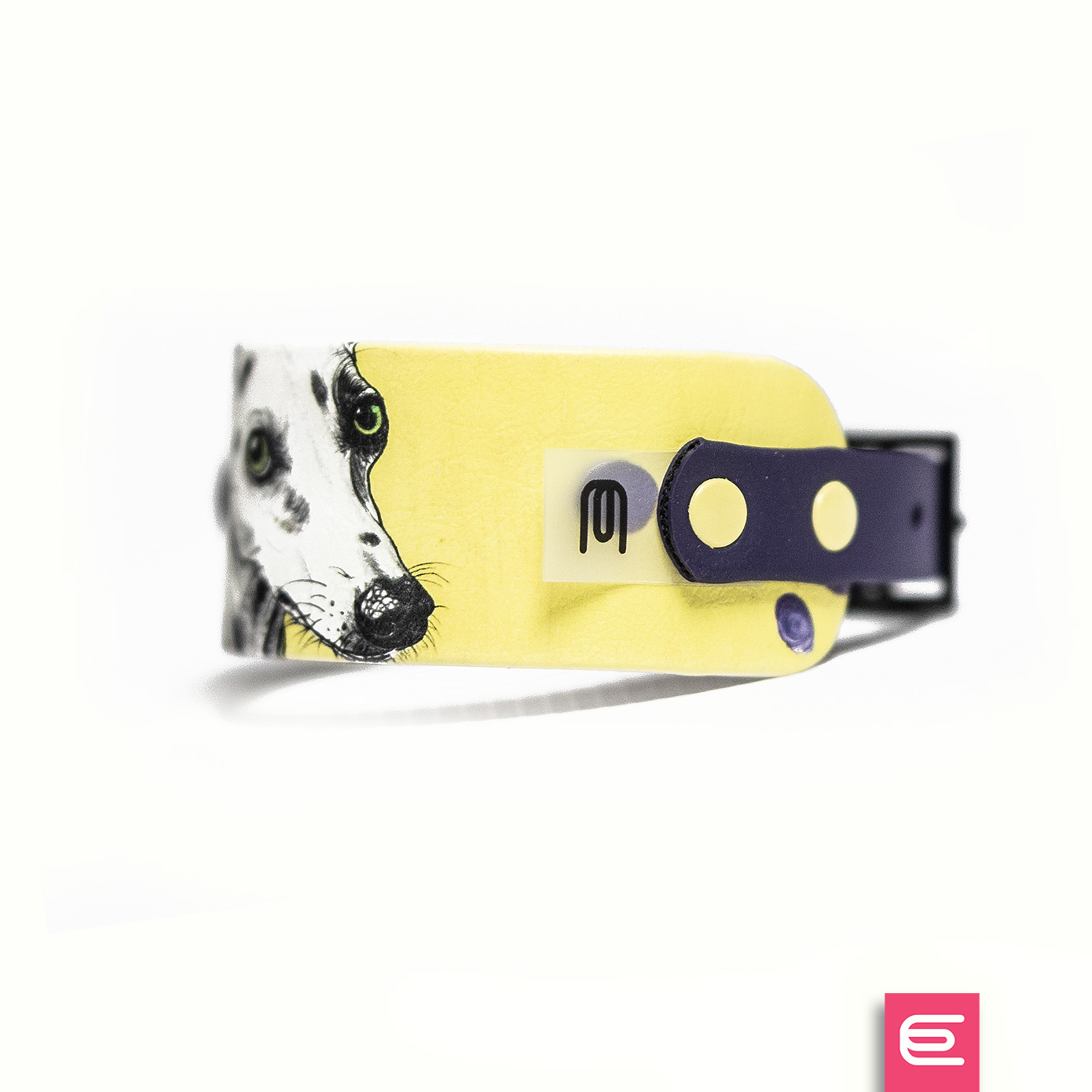 Italian greyhound collar EYESH 169 BioThane® - EYESH -for dog walks- image 2