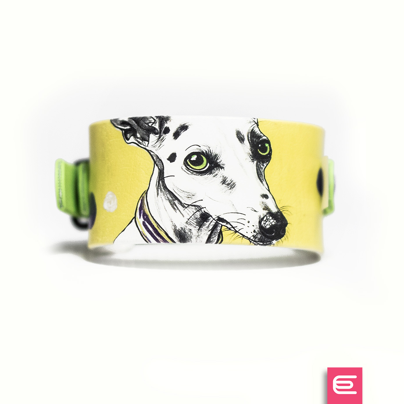 Italian greyhound collar EYESH 170 BioThane® - EYESH -for dog walks- image 1