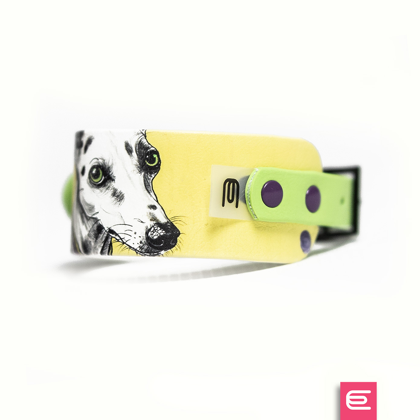 Italian greyhound collar EYESH 170 BioThane® - EYESH -for dog walks- image 2