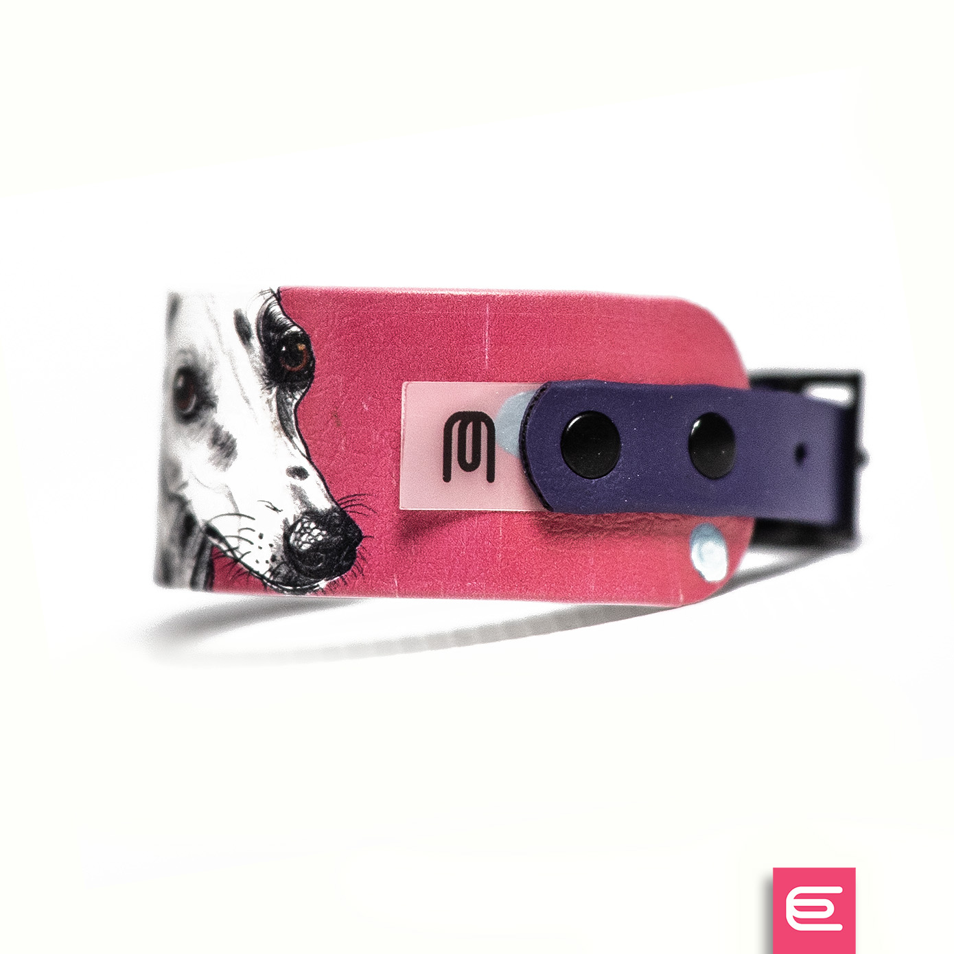 Italian greyhound collar EYESH 171 BioThane® - EYESH -for dog walks- image 1