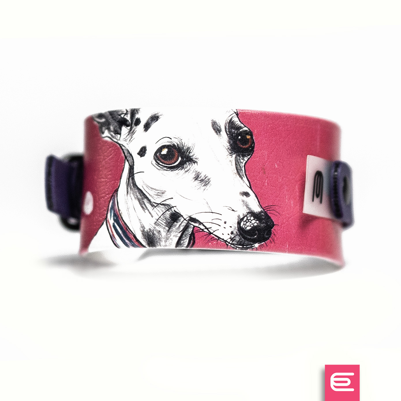 Italian greyhound collar EYESH 171 BioThane® - EYESH -for dog walks- image 2