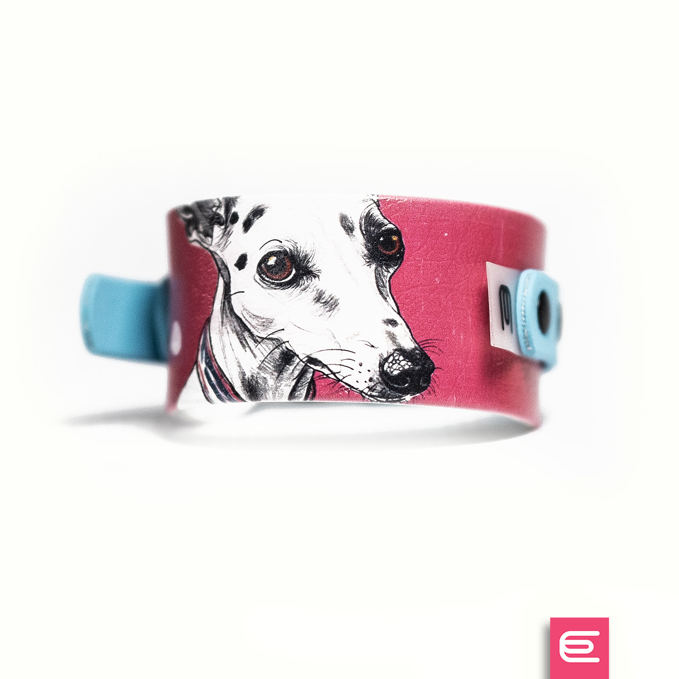 Italian greyhound collar EYESH 172 BioThane® - EYESH -for dog walks- image 2