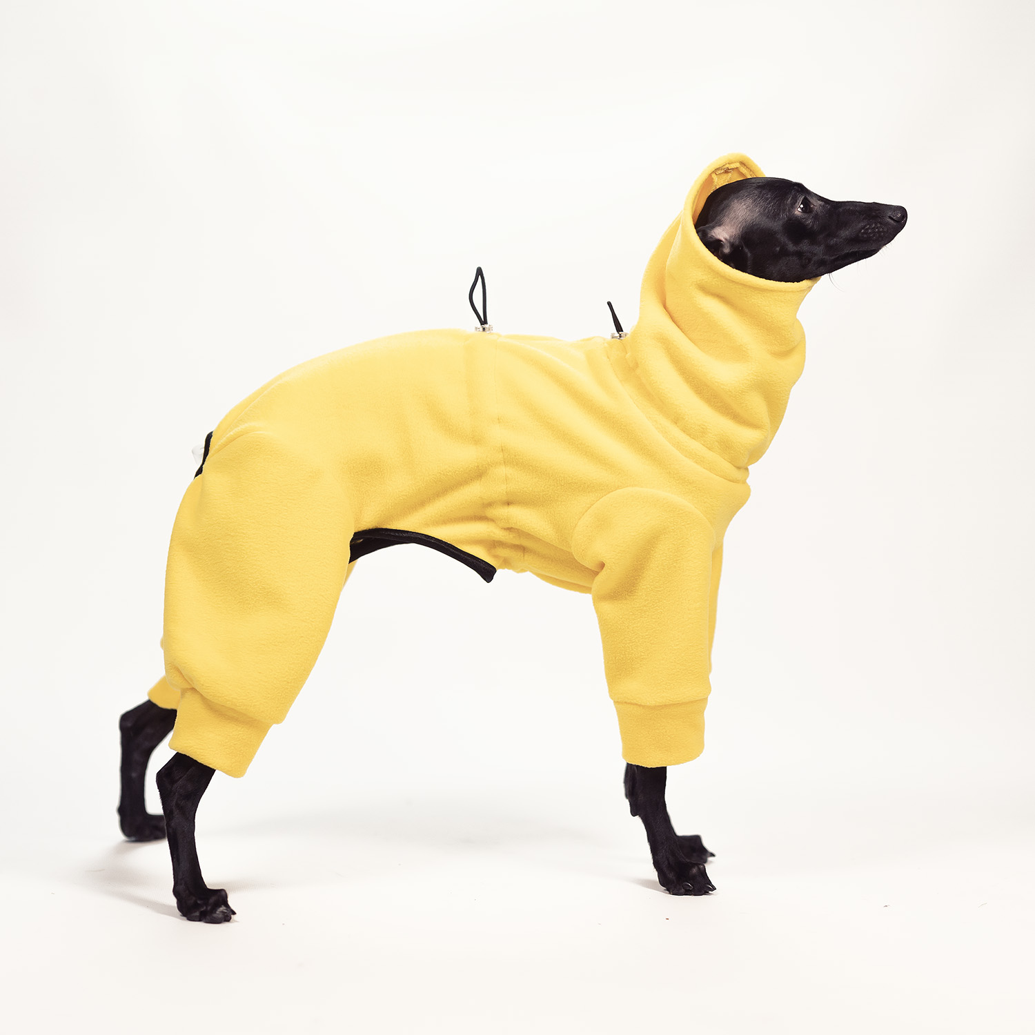 Jumpsuit for italian greyhound TRAFFIC LIGHT - Wear.Chartbeat image 1