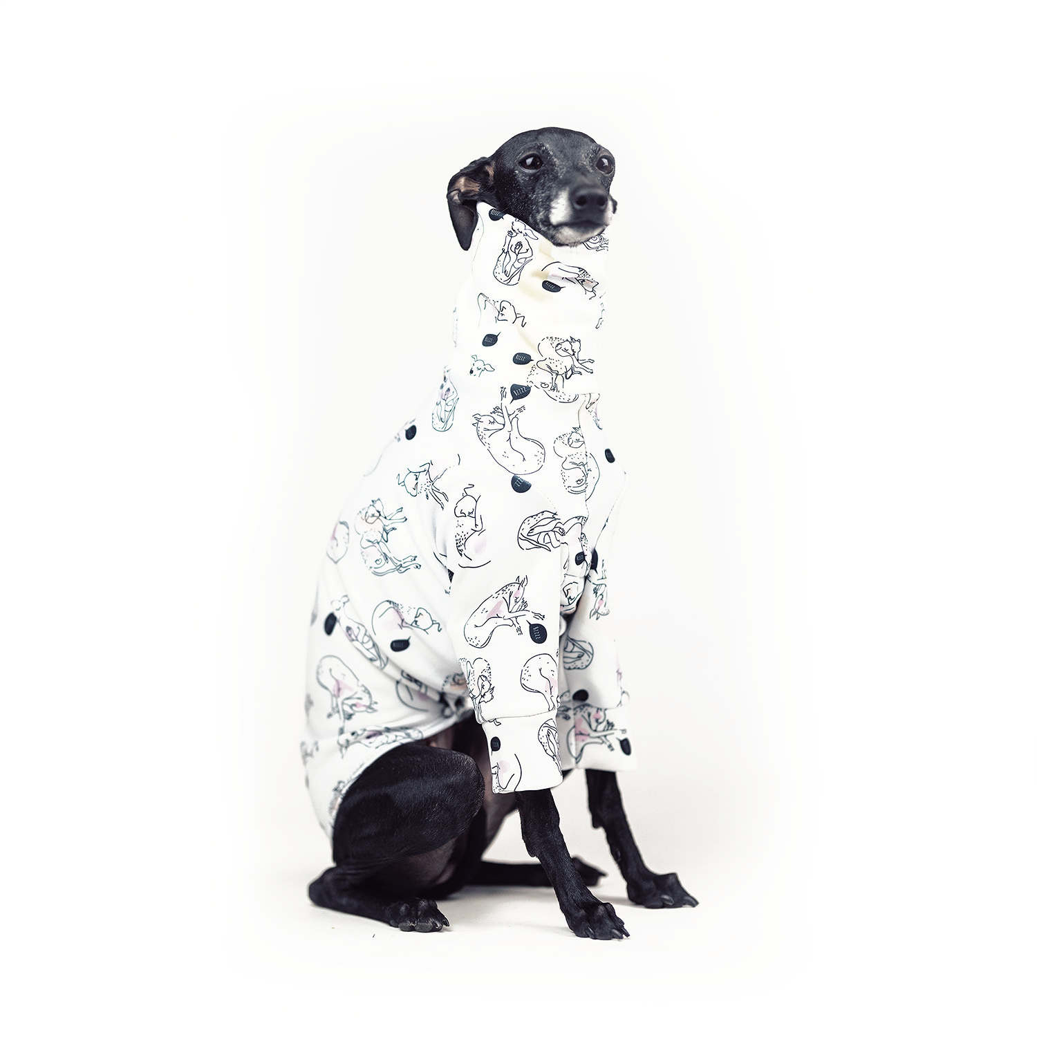 Italian greyhound clothing SLEEPIG Stretchmax® blouse - Wear.Chartbeat image 4