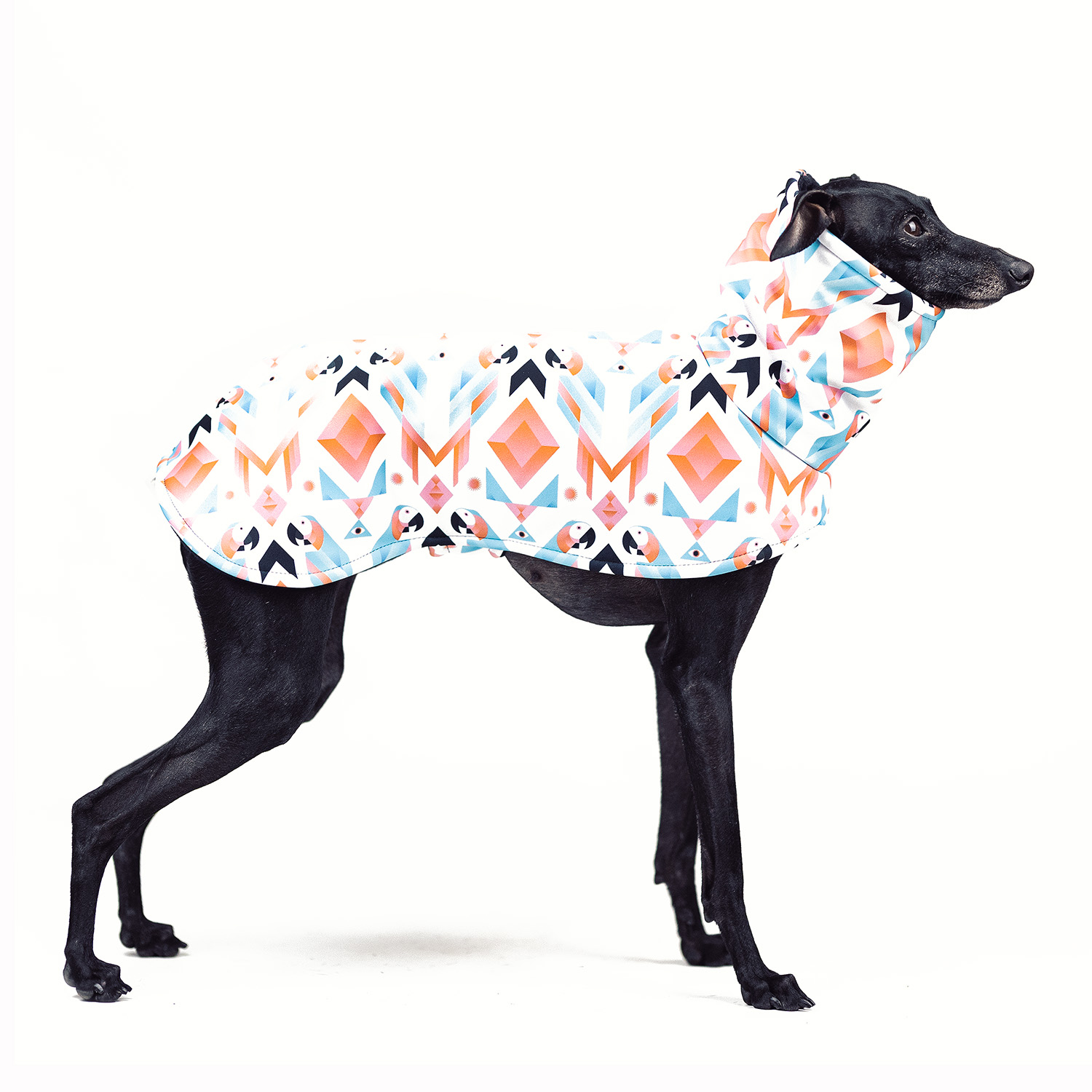 Italian greyhound PARROT Softshell® jacket - Wear.Chartbeat image 1