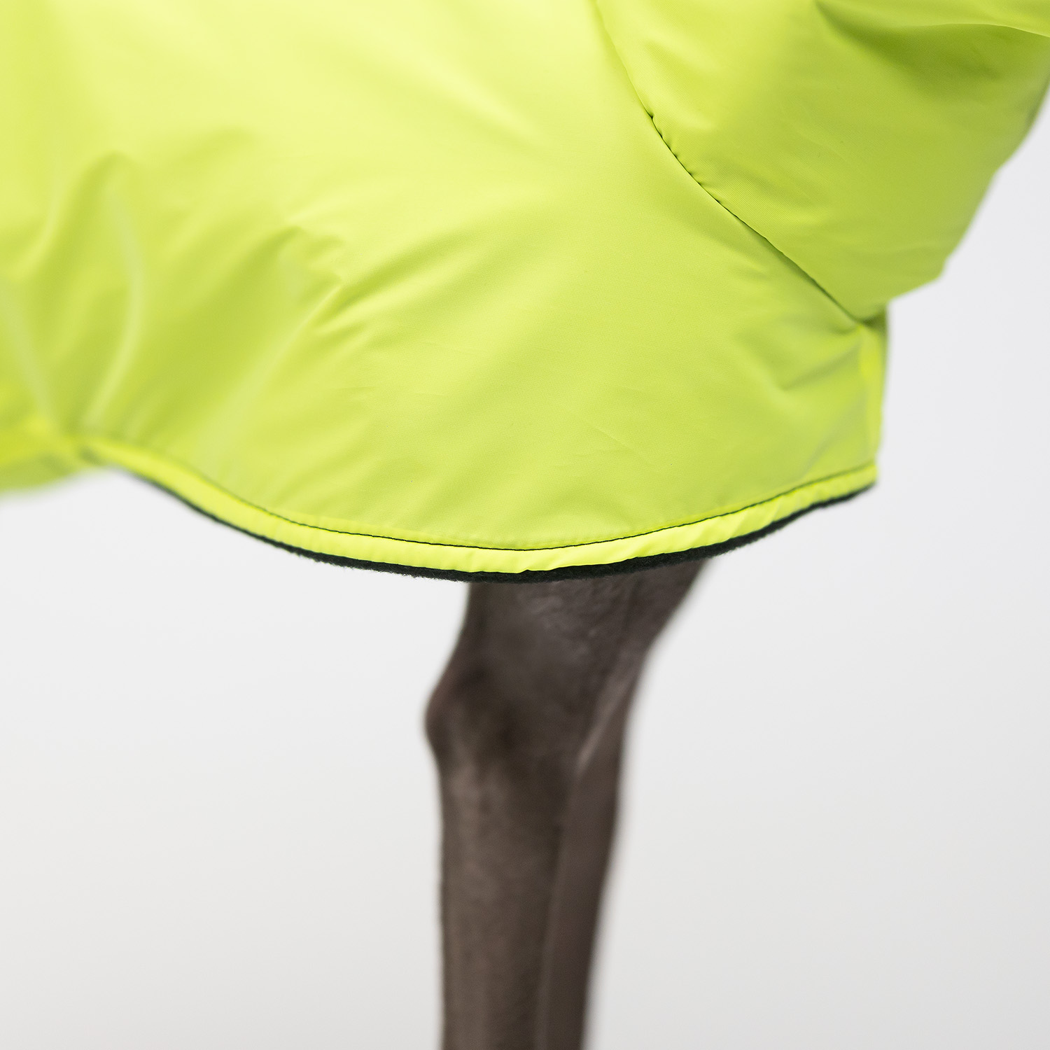 Italian greyhound REFLECTIVE YELLOW coat - Wear.Chartbeat image 4