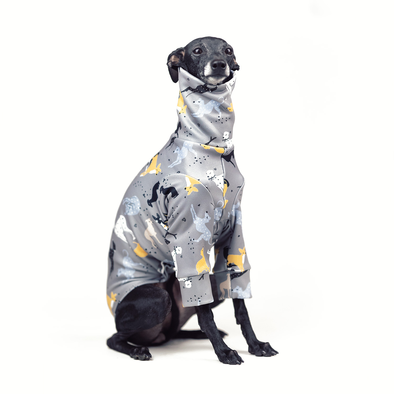 Italian greyhound clothing LITTLE HEART Stretchmax® blouse - Wear.Chartbeat image 4