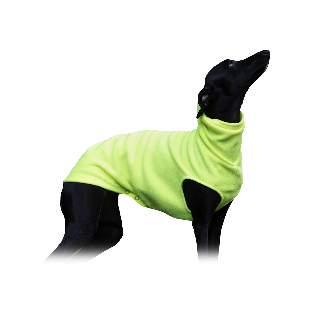 Polarowa bluza dla charcika FLUO FLEECE - Wear.Chartbeat zdjęcie 1