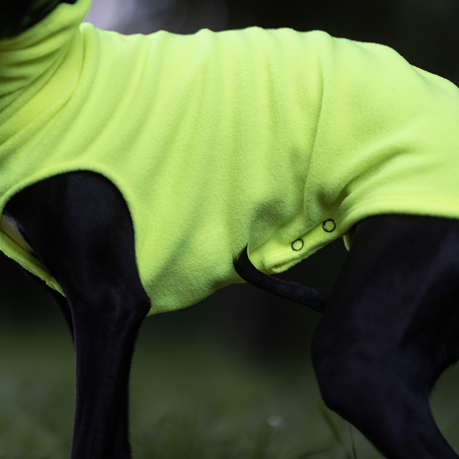 Polarowa bluza dla charcika FLUO FLEECE - Wear.Chartbeat zdjęcie 4