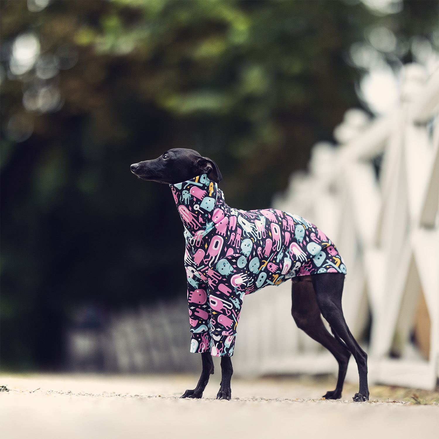 Italian greyhound clothing  JELLY JIVE Stretchmax® blouse - Wear.Chartbeat image 3