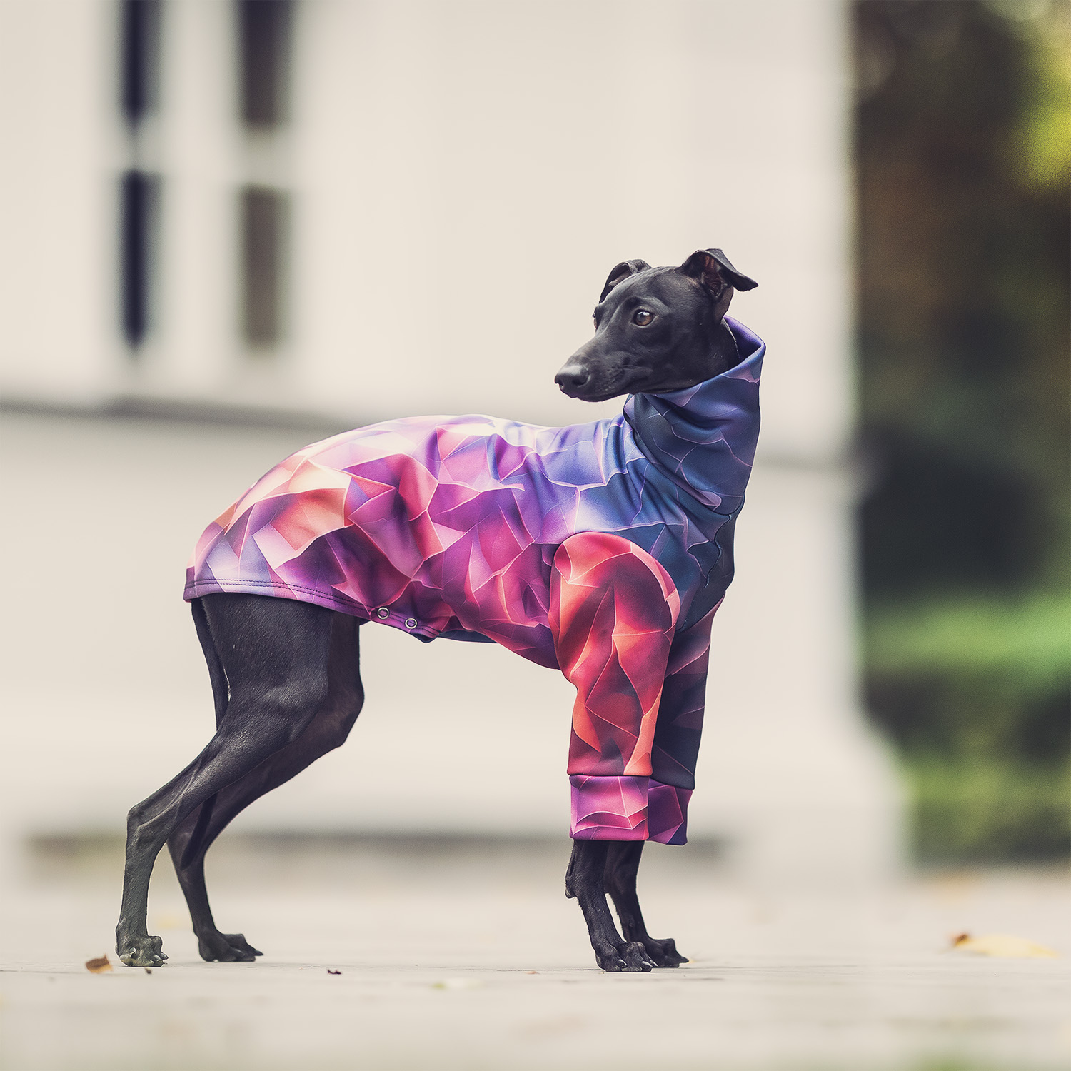 Italian greyhound clothing PRISM BLAZE Stretchmax® blouse - Wear.Chartbeat image 4