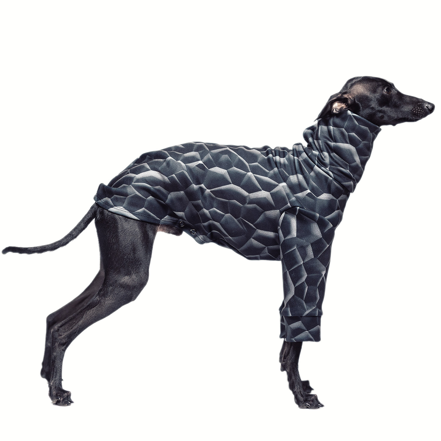 Italian greyhound clothing CHARCOAL Stretchmax® blouse - Wear.Chartbeat image 1