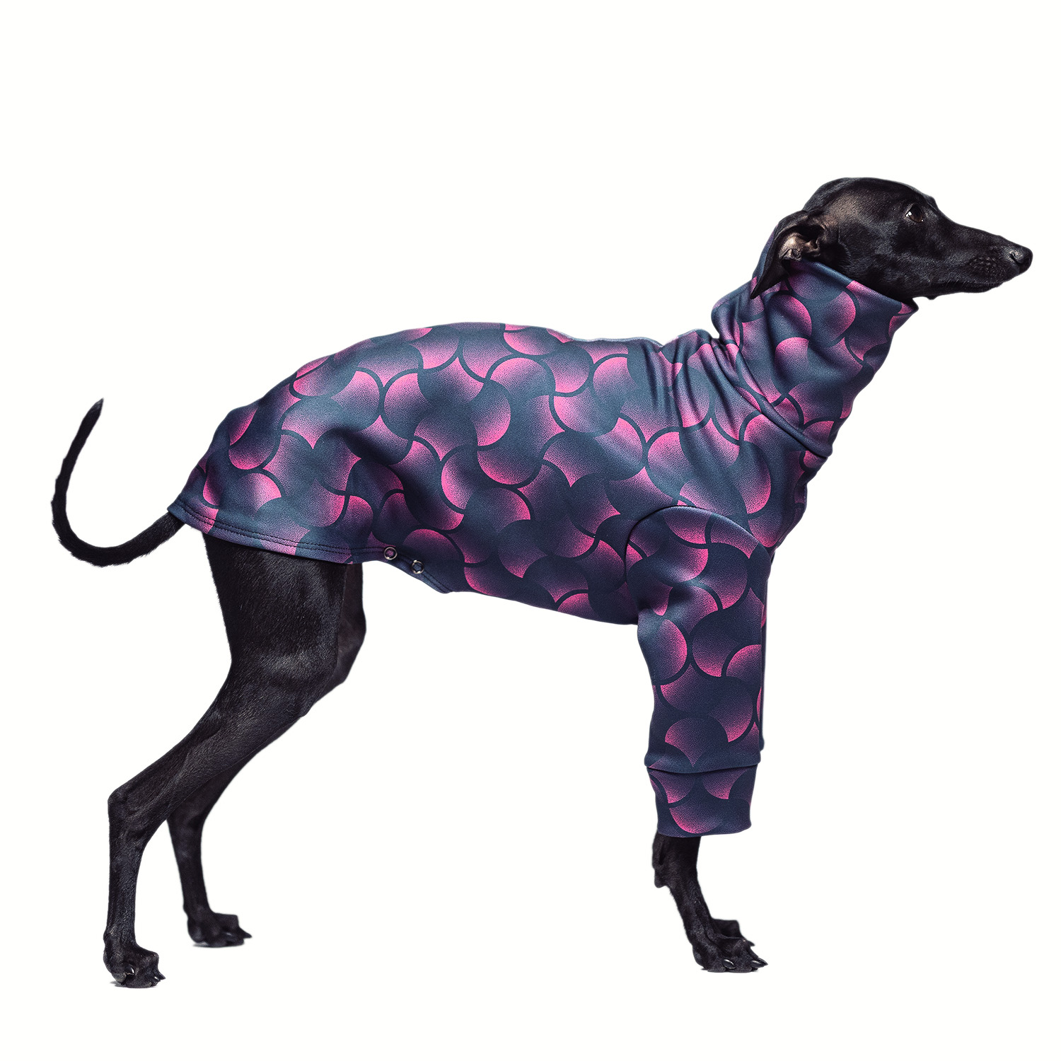 Italian greyhound clothing VELVET SWIRL Stretchmax® blouse - Wear.Chartbeat image 1