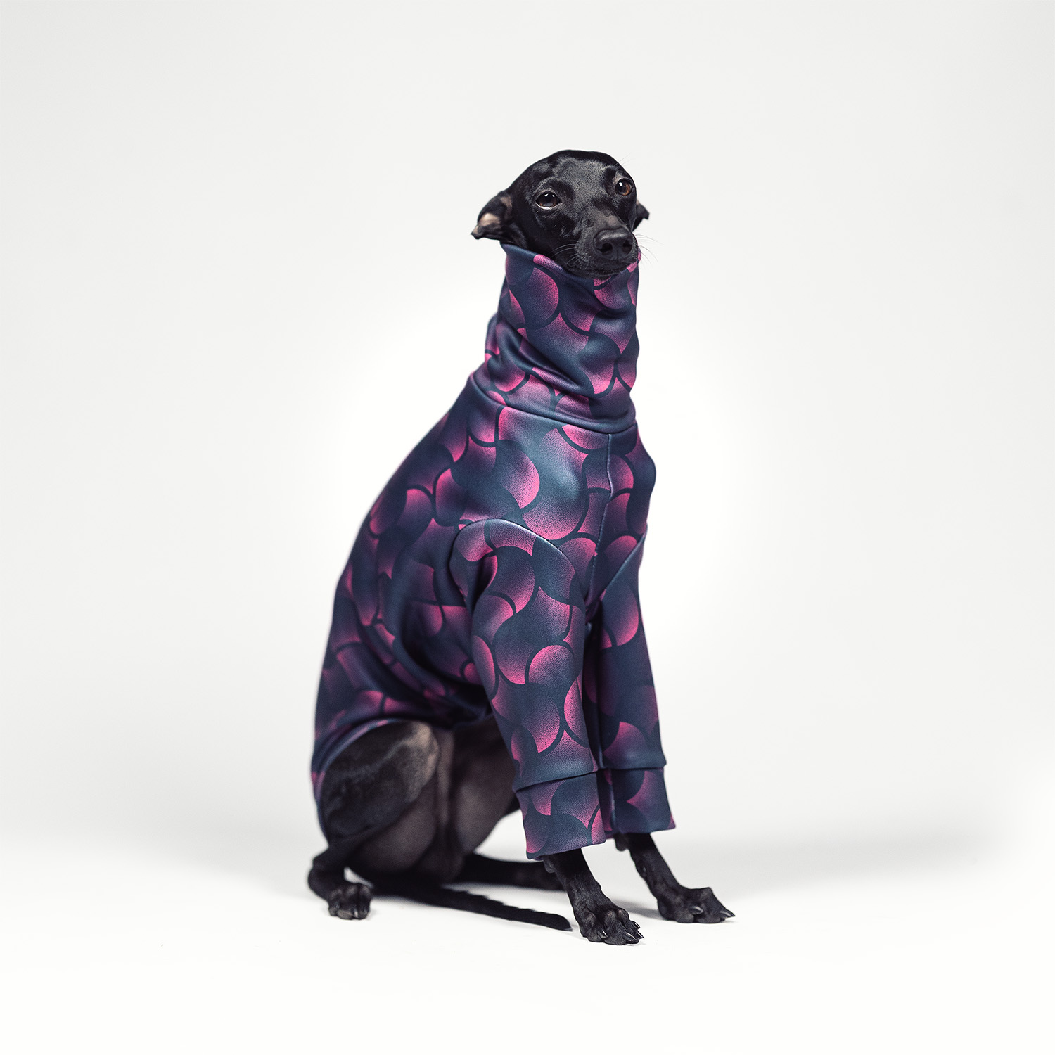 Italian greyhound clothing VELVET SWIRL Stretchmax® blouse - Wear.Chartbeat image 3