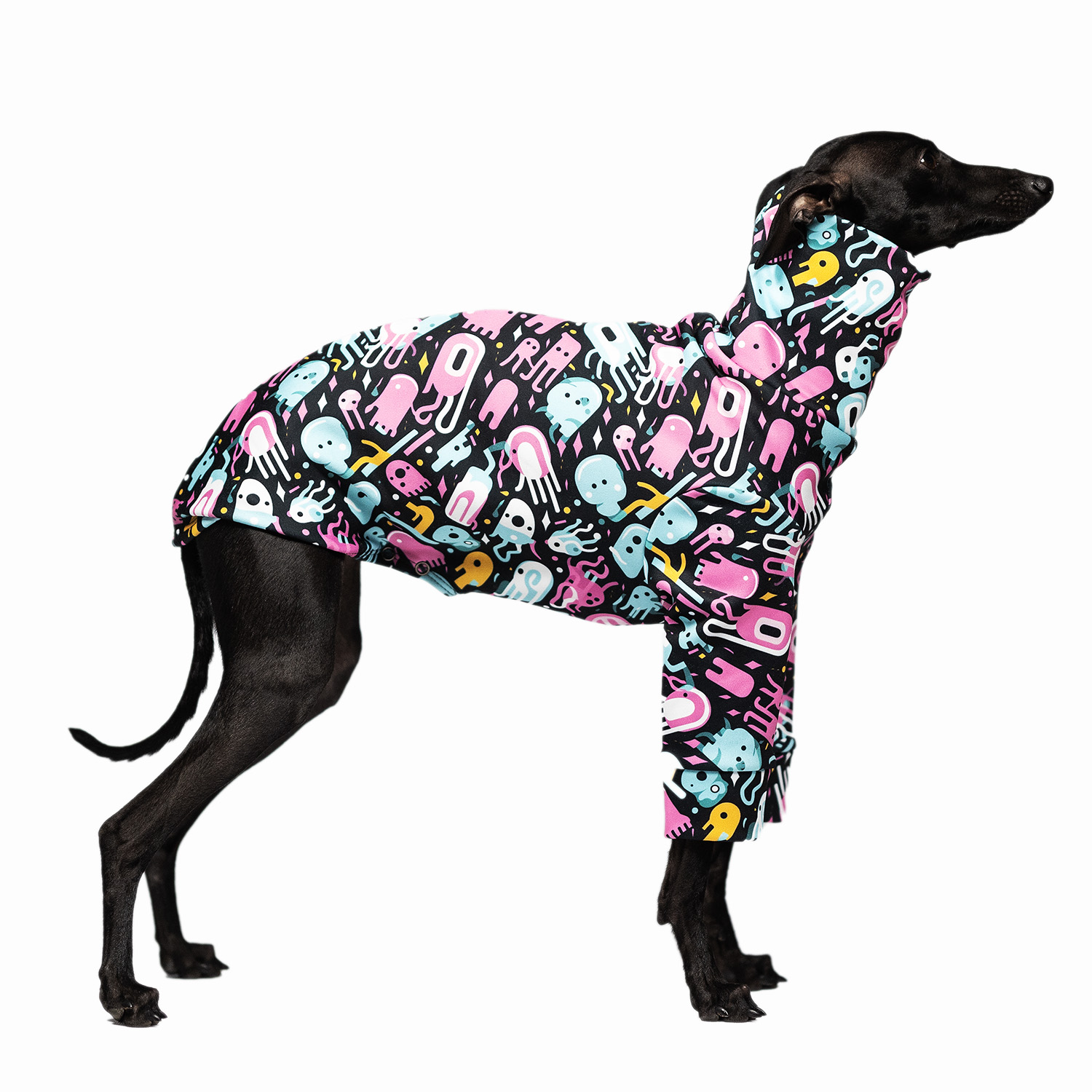 Italian greyhound clothing  JELLY JIVE Stretchmax® blouse - Wear.Chartbeat image 1