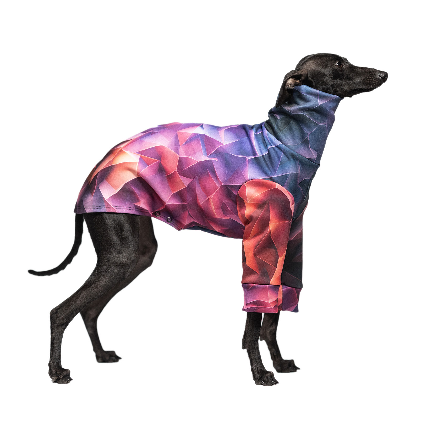 Italian greyhound clothing PRISM BLAZE Stretchmax® blouse - Wear.Chartbeat image 1