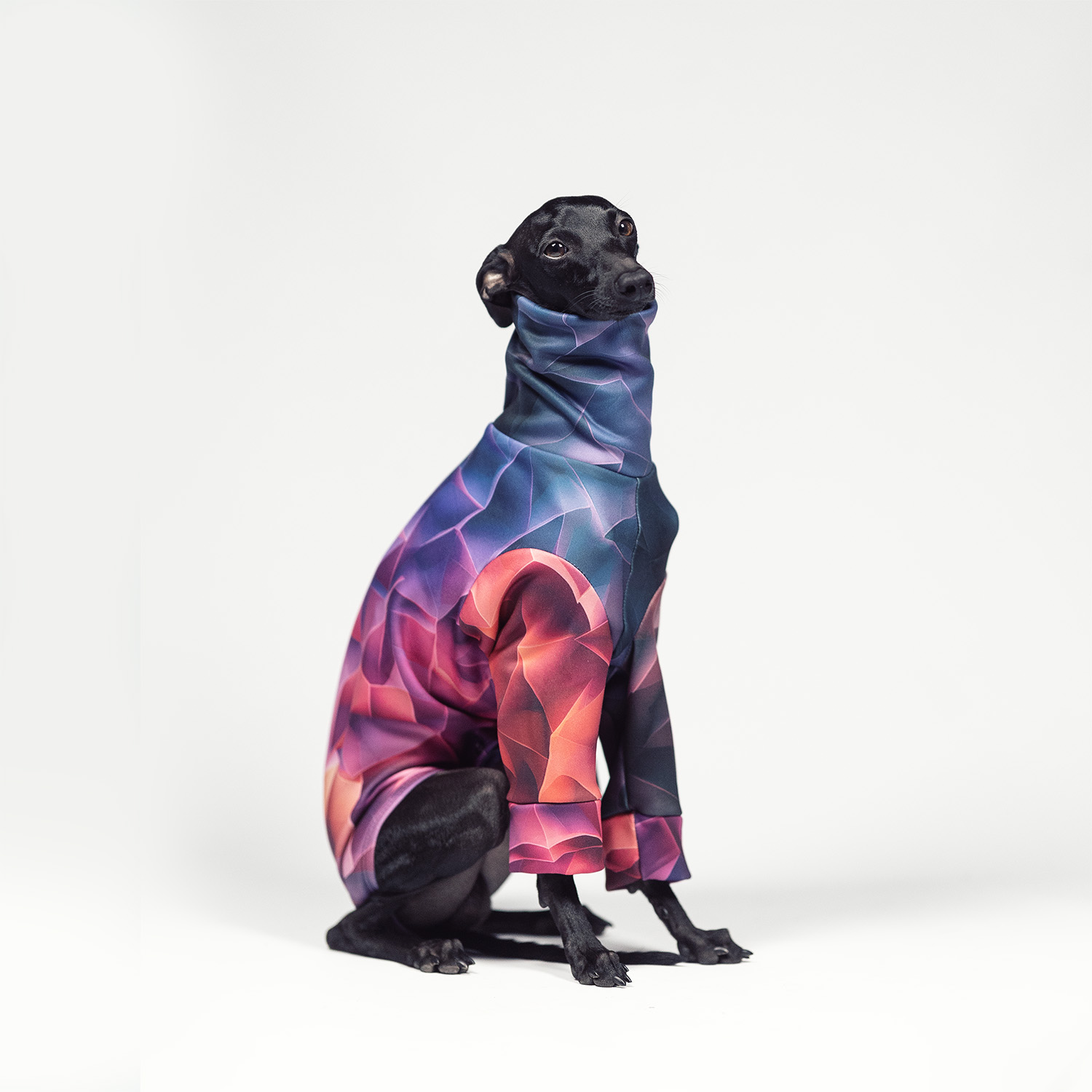 Italian greyhound clothing PRISM BLAZE Stretchmax® blouse - Wear.Chartbeat image 2