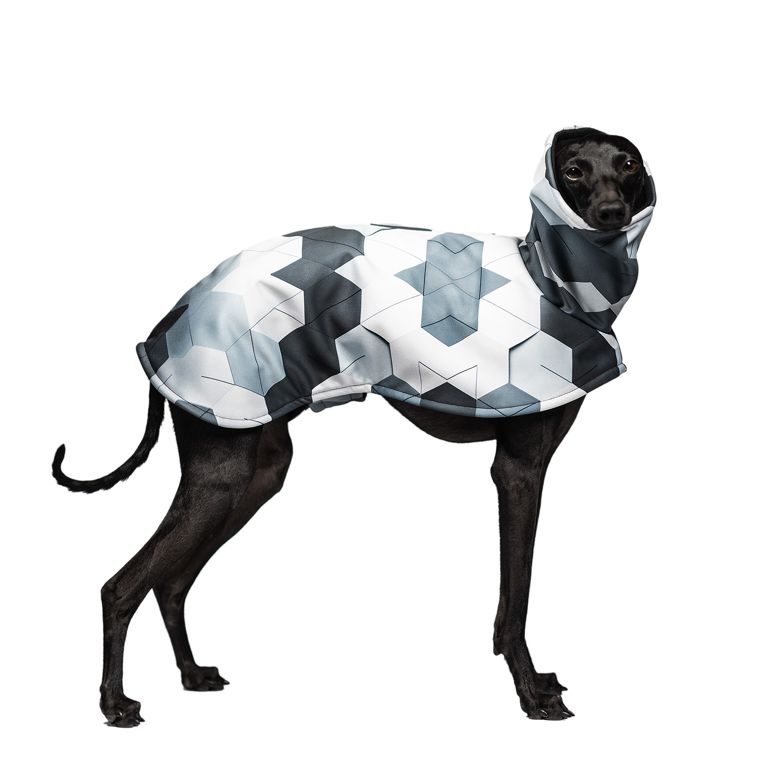 Italian greyhound CHILLY HEX Softshell® jacket - Wear.Chartbeat image 1