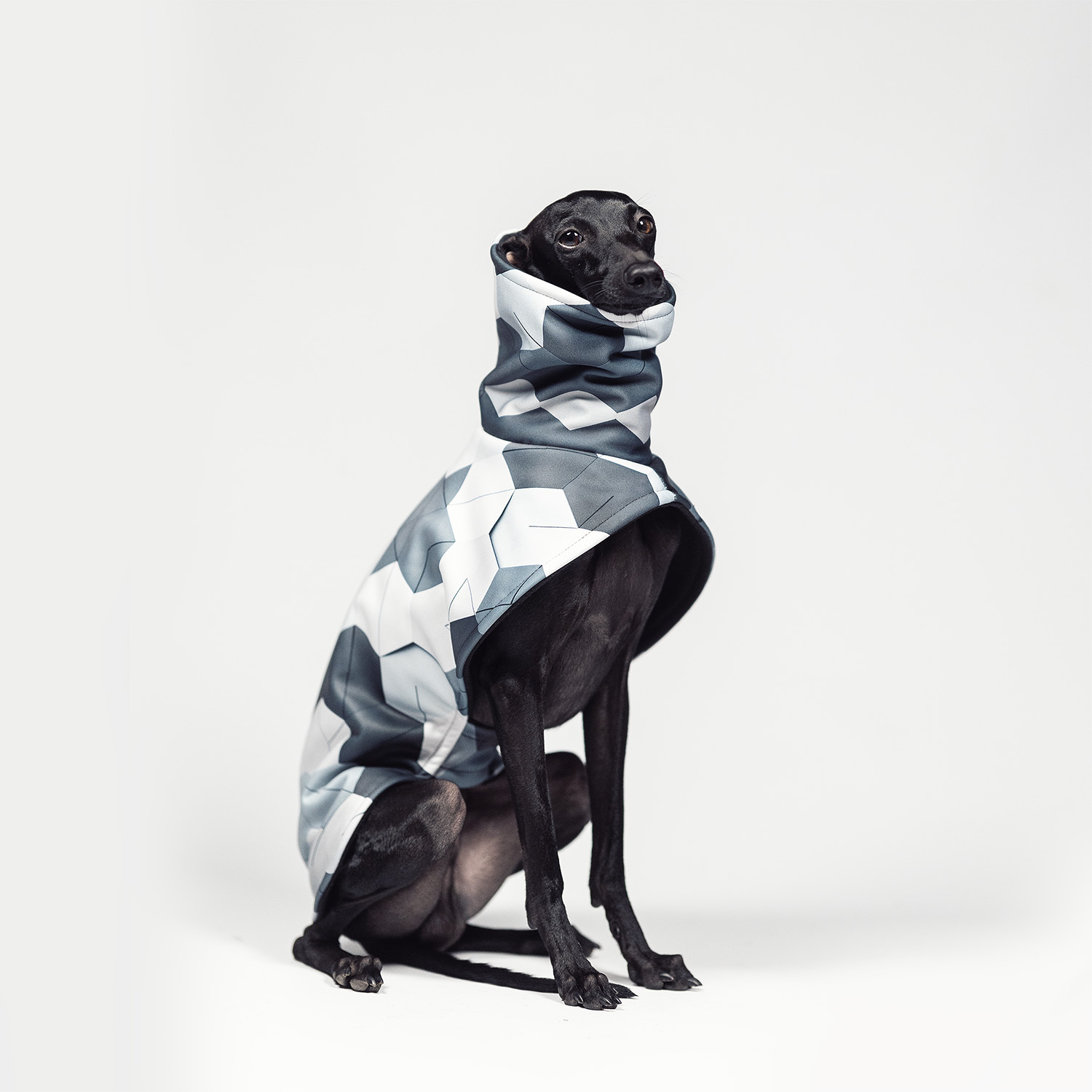 Italian greyhound CHILLY HEX Softshell® jacket - Wear.Chartbeat image 3