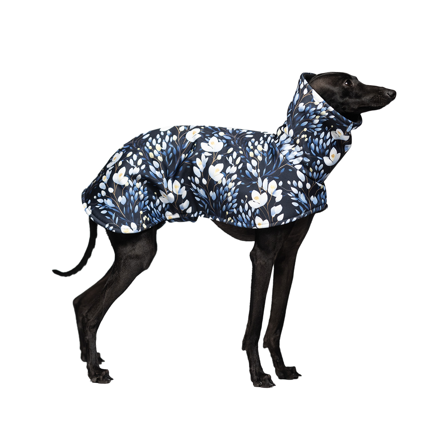 Italian greyhound BLOOM SHIELD Softshell® jacket - Wear.Chartbeat image 1