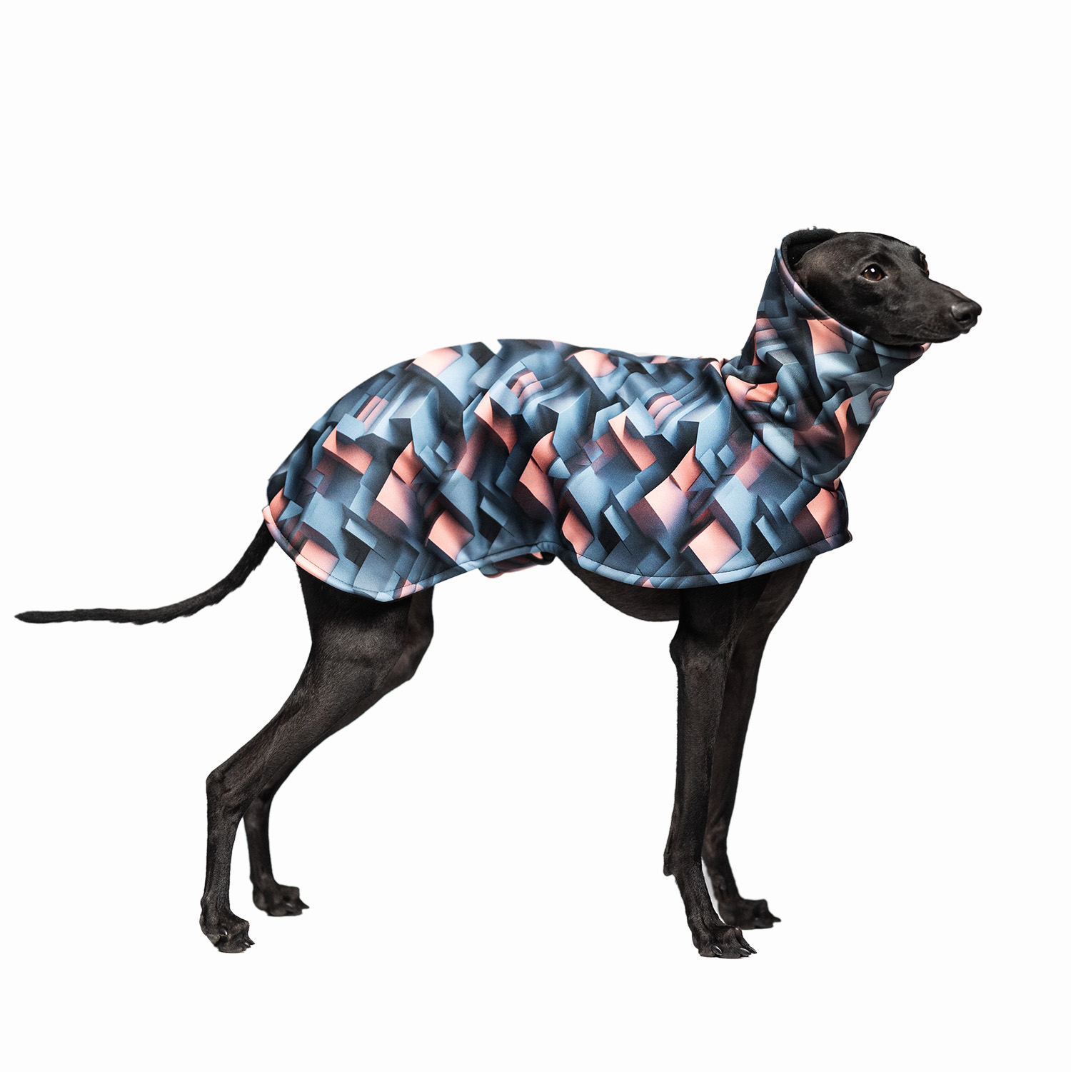 Italian greyhound URBAN PIXEL Softshell® jacket - Wear.Chartbeat image 1