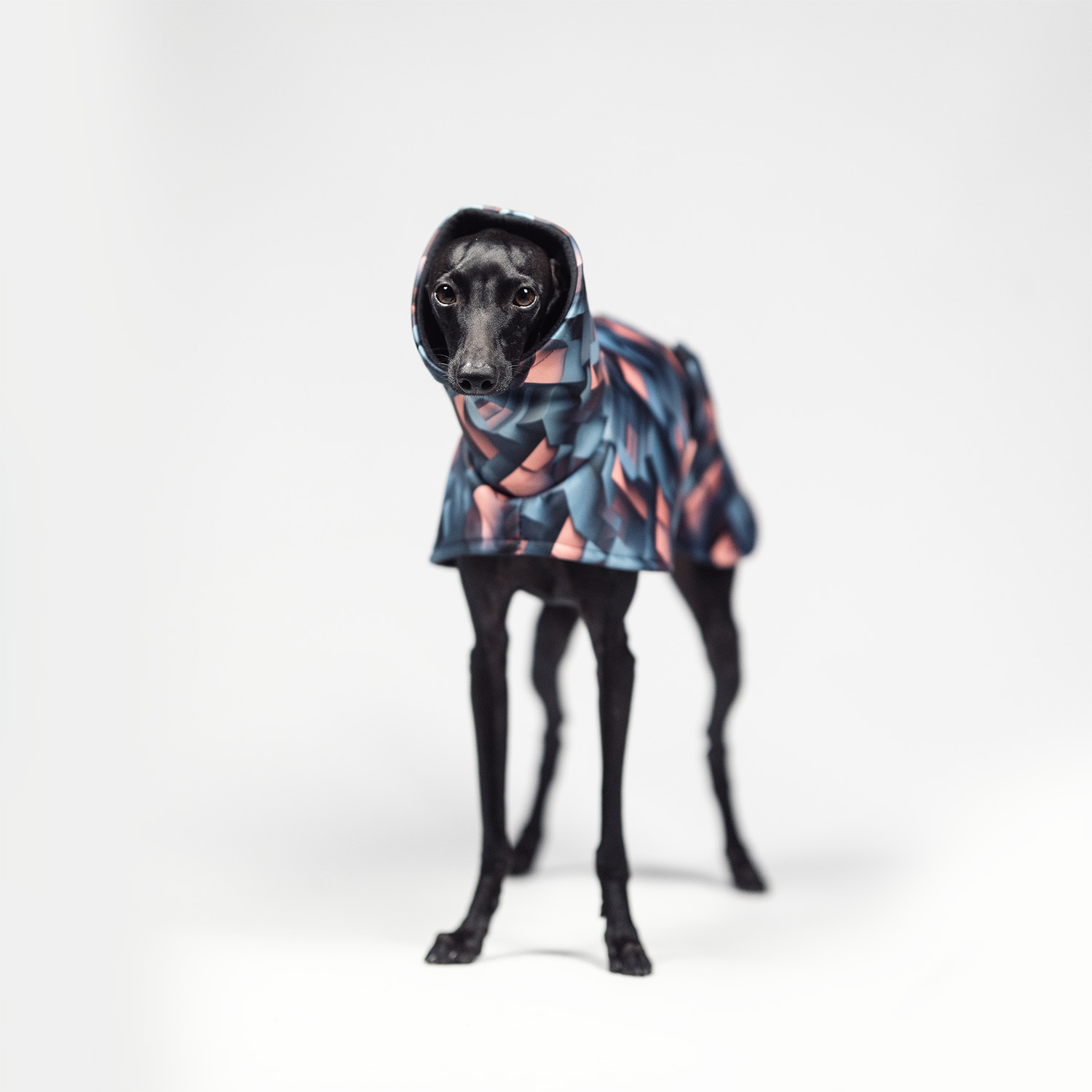 Italian greyhound URBAN PIXEL Softshell® jacket - Wear.Chartbeat image 2