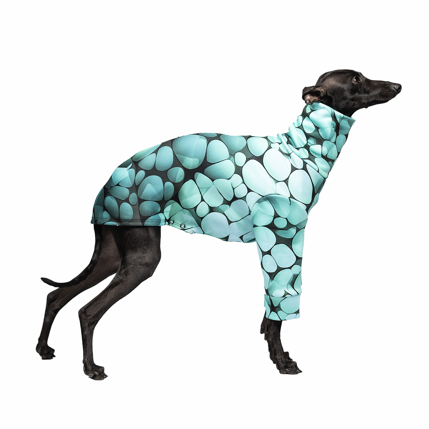 Italian greyhound clothing SEA FOAM Stretchmax® blouse - Wear.Chartbeat image 1