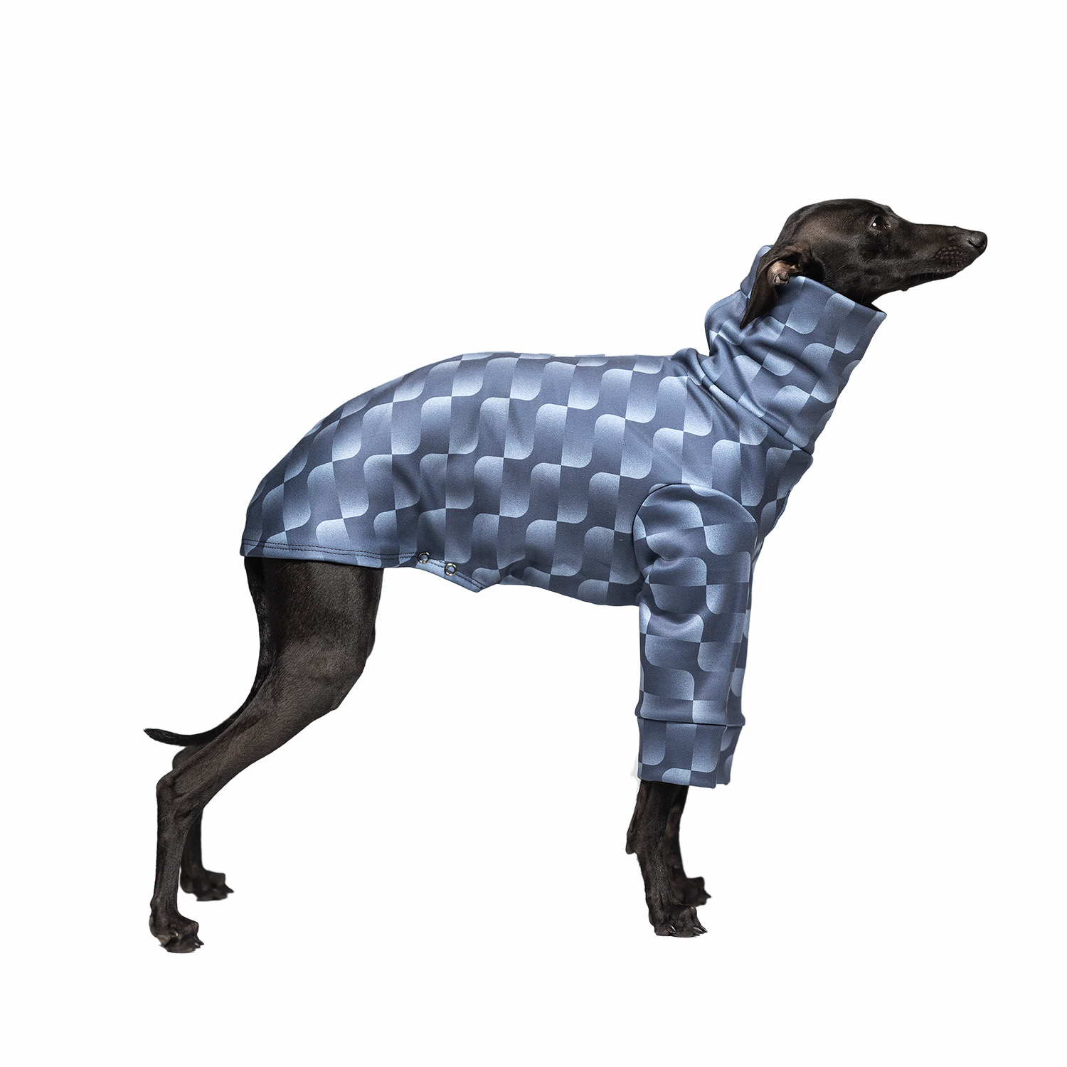 Italian greyhound clothing WAVY WRAP Stretchmax® blouse - Wear.Chartbeat image 1