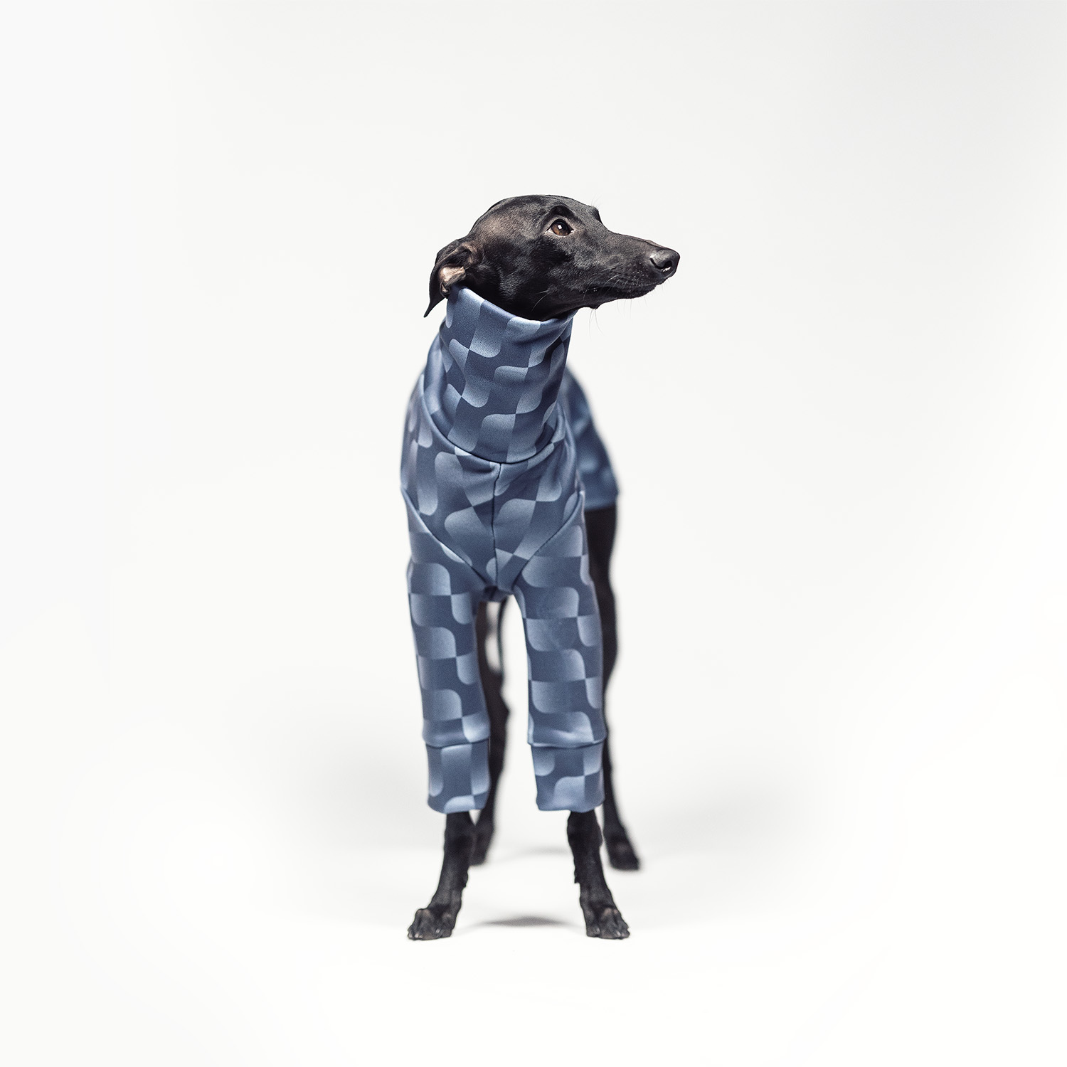 Italian greyhound clothing WAVY WRAP Stretchmax® blouse - Wear.Chartbeat image 2