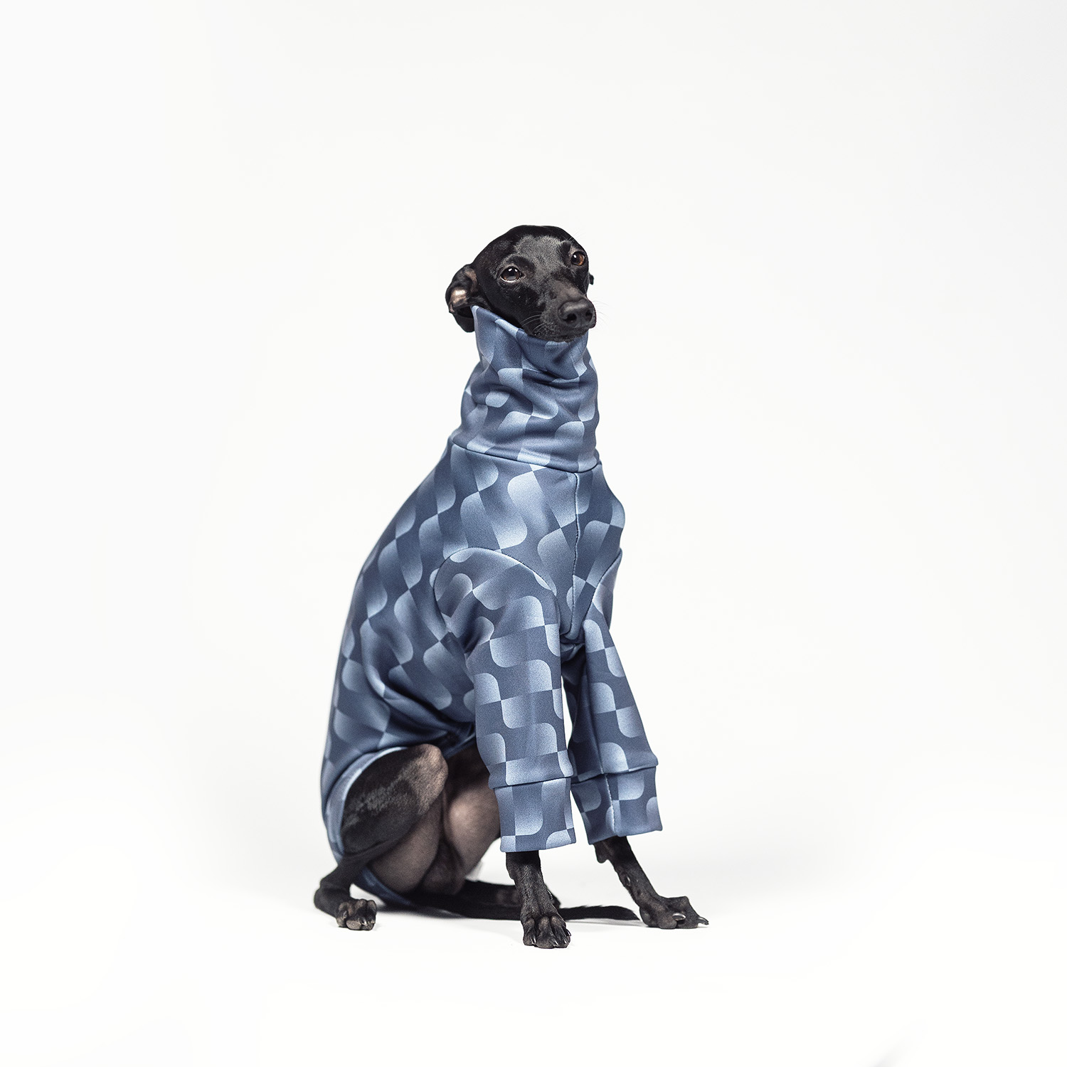 Italian greyhound clothing WAVY WRAP Stretchmax® blouse - Wear.Chartbeat image 3