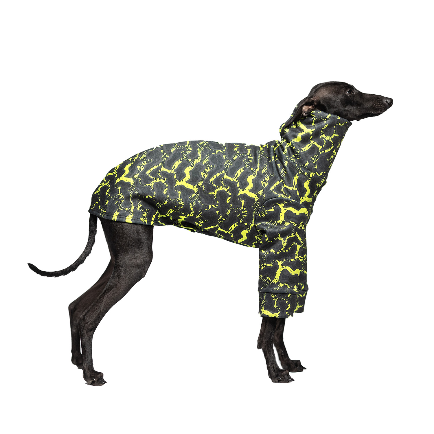 Italian greyhound clothing OFF-ROAD Stretchmax® blouse - Wear.Chartbeat image 1