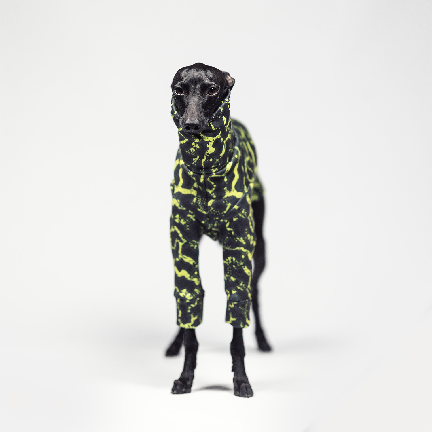 Italian greyhound clothing OFF-ROAD Stretchmax® blouse - Wear.Chartbeat image 2