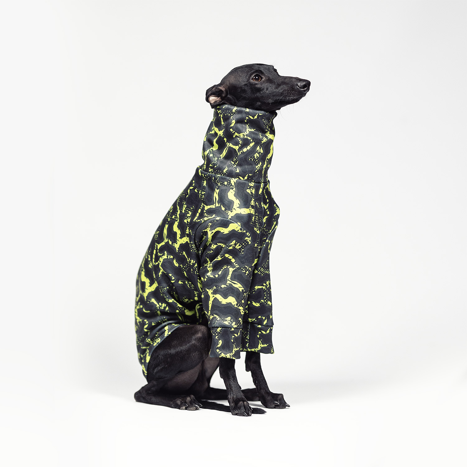 Italian greyhound clothing OFF-ROAD Stretchmax® blouse - Wear.Chartbeat image 3