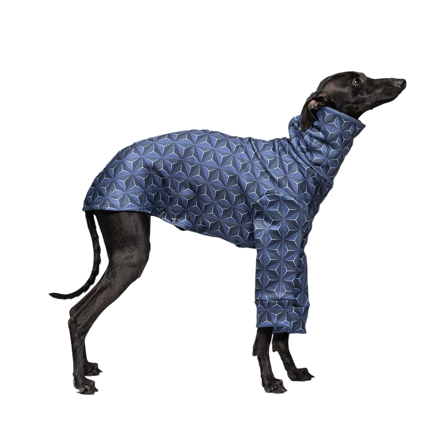 Italian greyhound clothing COSMO COZY Stretchmax® blouse - Wear.Chartbeat image 1