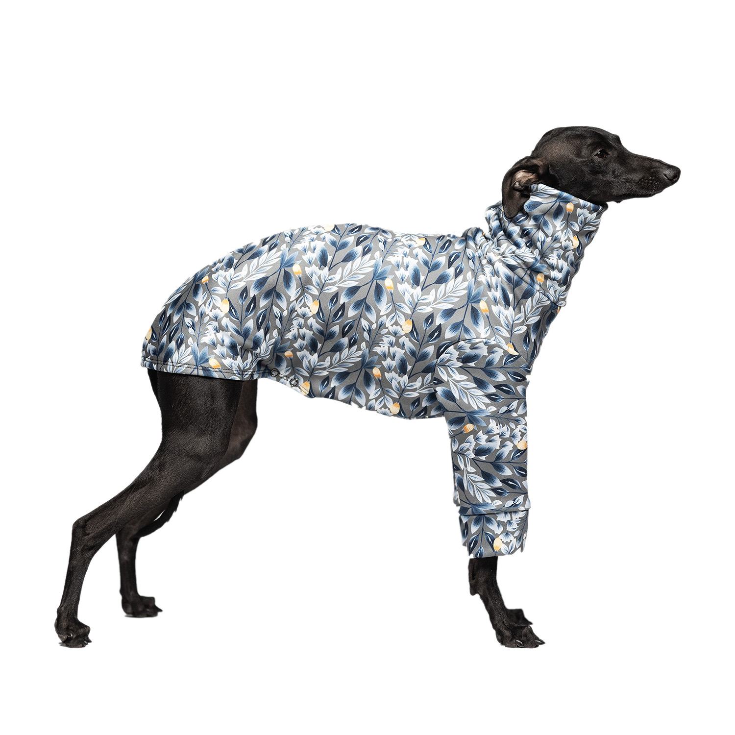 Italian greyhound clothing SILVER FROST Stretchmax® blouse - Wear.Chartbeat image 1