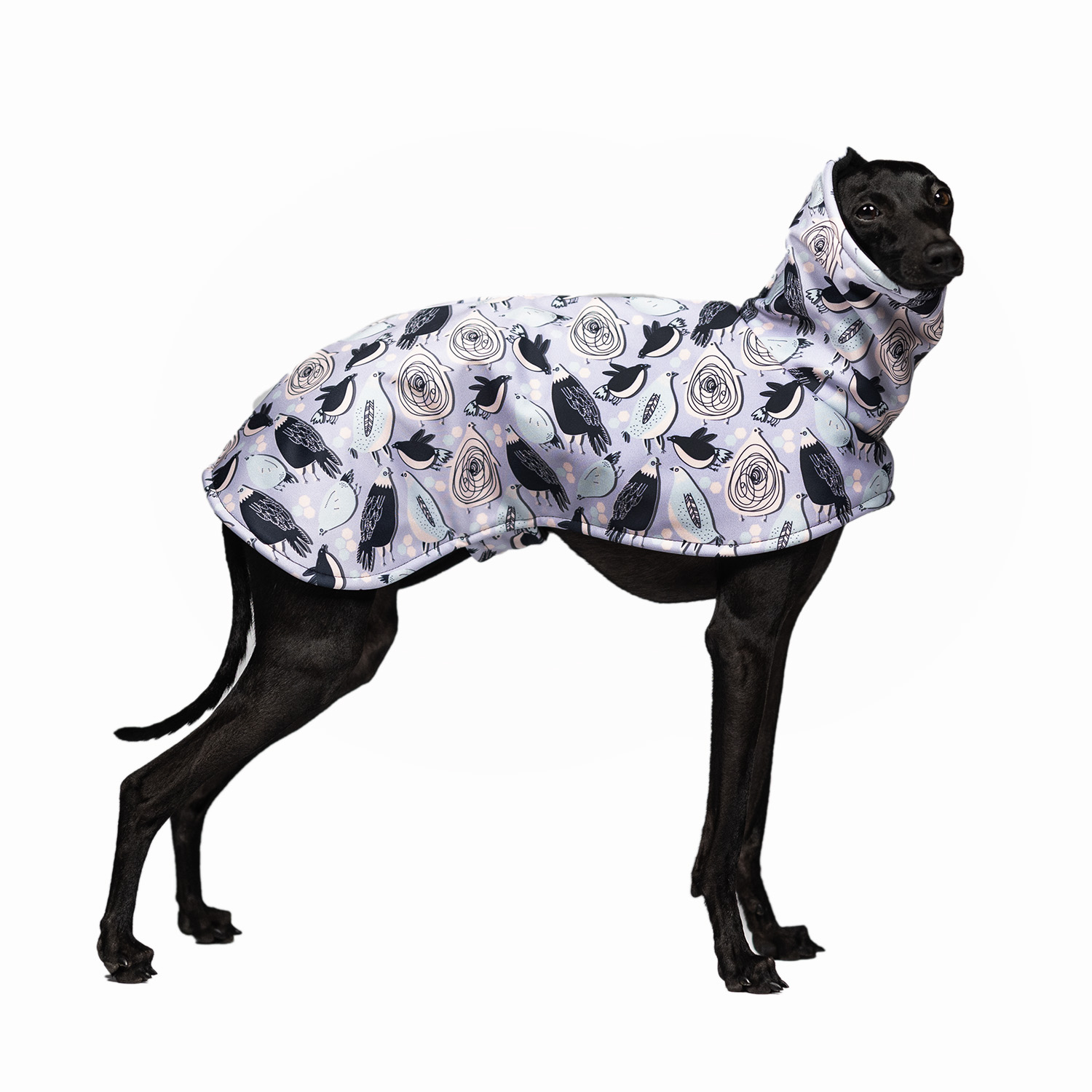 Italian greyhound BIRD SONG Softshell® jacket - Wear.Chartbeat image 1