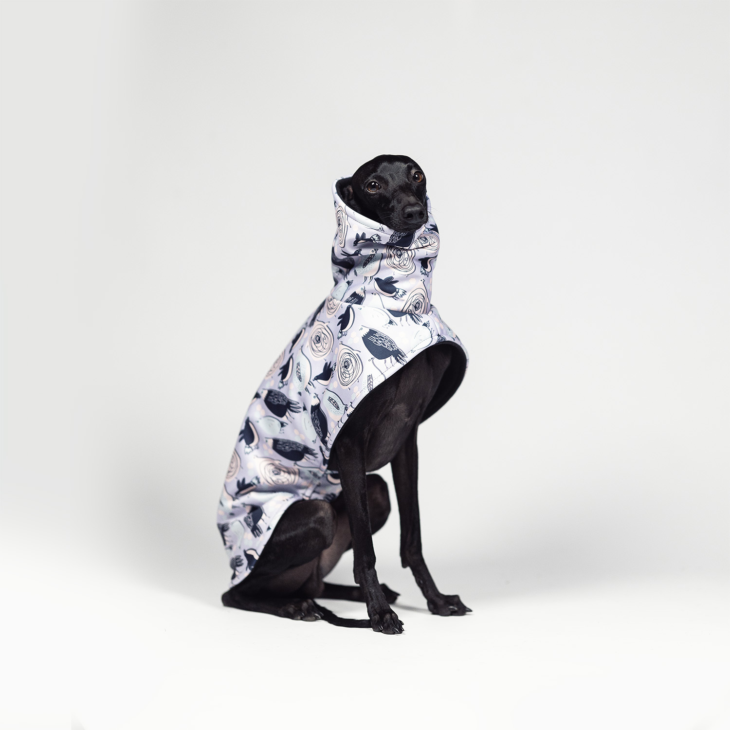 Italian greyhound BIRD SONG Softshell® jacket - Wear.Chartbeat image 3