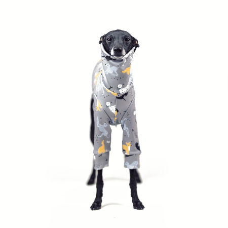 Italian greyhound clothing LITTLE HEART Stretchmax® blouse - Wear.Chartbeat image 3